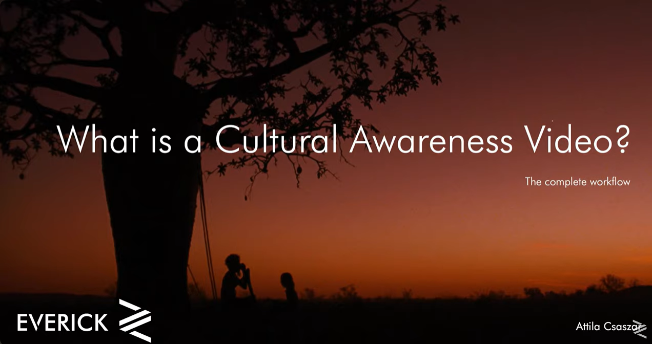 What is a Cultural Awareness Video?